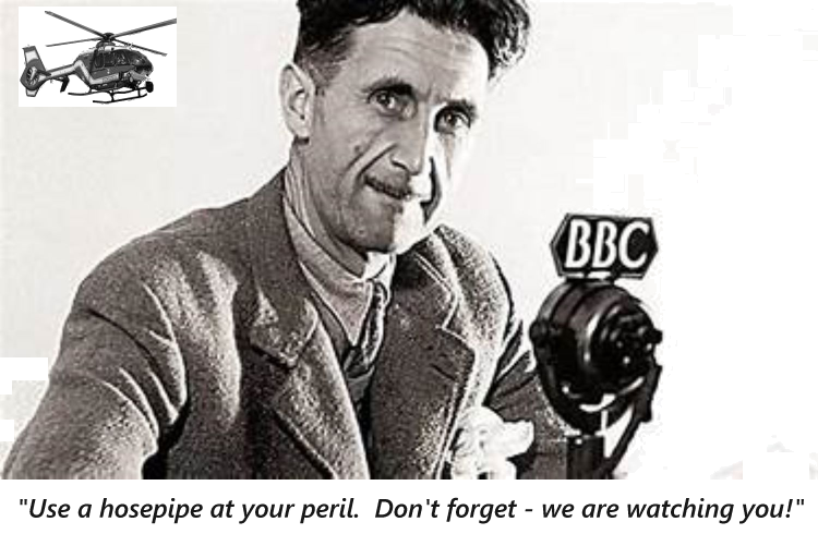 george_orwell_bbc.png