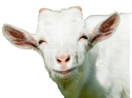happy_nanny_goat.png