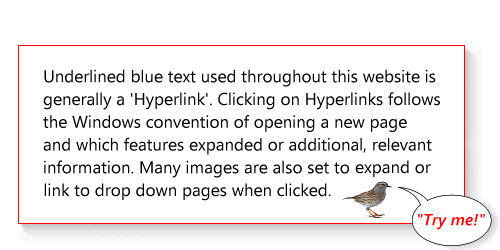 hyperlink_text.gif