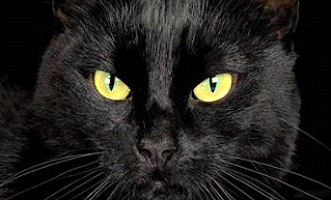 cats_eyes.gif